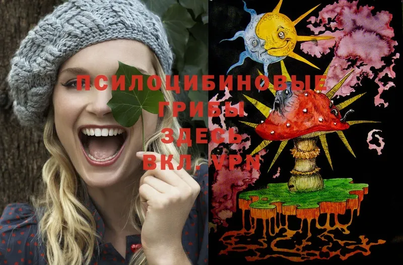 Псилоцибиновые грибы MAGIC MUSHROOMS  Апатиты 